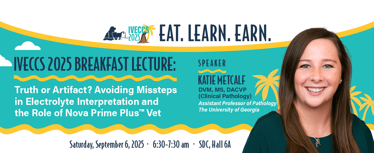 IVECCS 2025 Breakfast Lecture